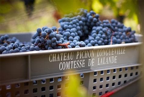 Château Pichon Longueville Comtesse de Lalande - 2