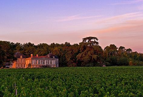 Château Picque Caillou - 1