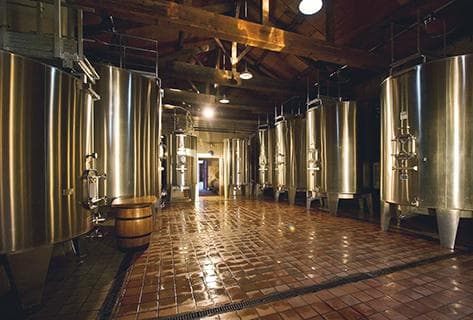 Château Picque Caillou - 4