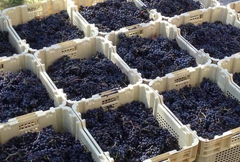 Château Pierre de Lune - 4