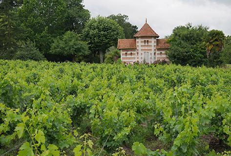 Château Pontac Lynch - 3
