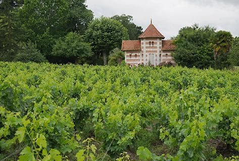 Château Pontac Lynch - 3