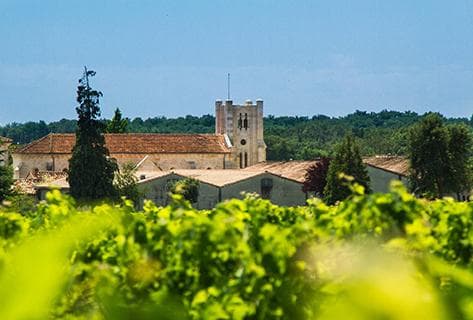 Château Potensac - 1