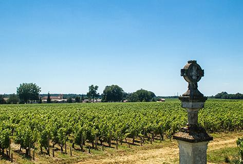 Château Potensac - 2