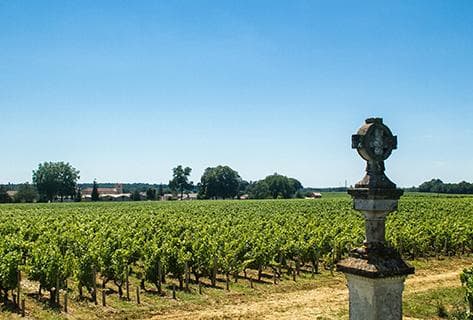 Château Potensac - 2