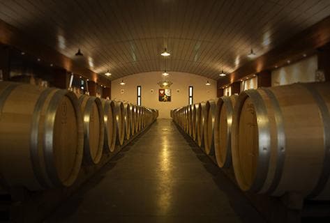 Château Pouget - 4