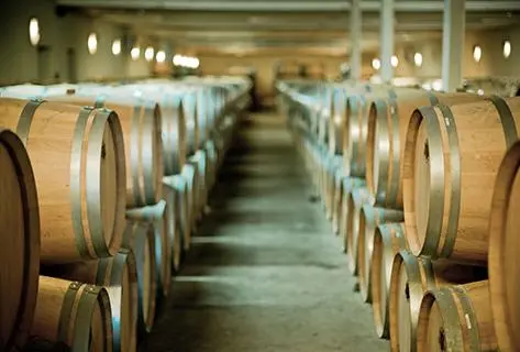 Château Poujeaux - 2