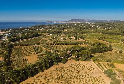 Château Pradeaux - 2