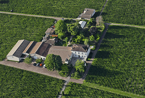 Photo du domaine partenaire Château Quinault L'Enclos