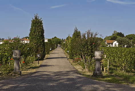 Château Quinault L'Enclos - 2