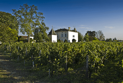 Château Quinault L'Enclos - 4