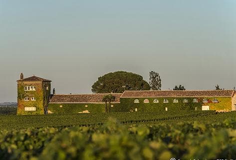 Château Rieussec - 1