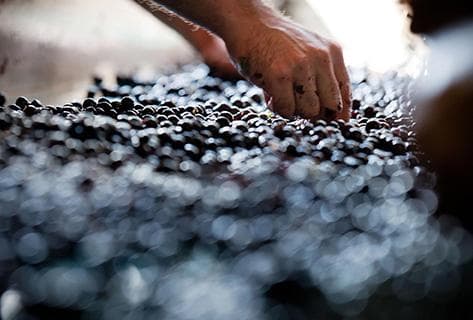 Château Saint-Georges - 2