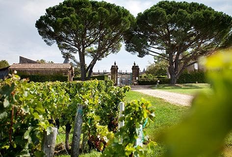 Château Saint-Georges - 3