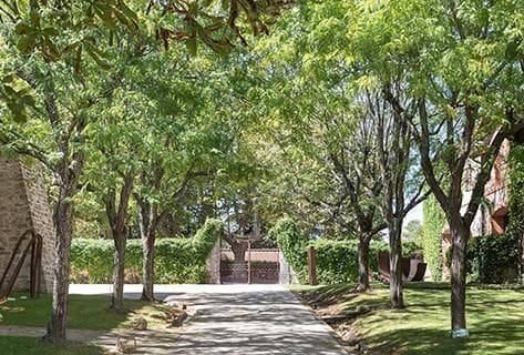 Château Sainte-Roseline - 4