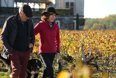 Foto des Partnerweinguts Château Smith Haut Lafitte