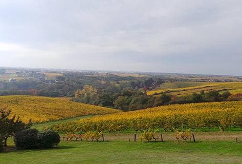 Château Soucherie - 2