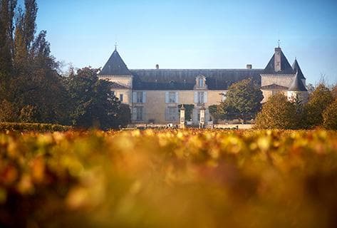 Photo du domaine partenaire Château Suduiraut