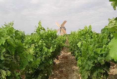 Château Tour Haut-Caussan - 1