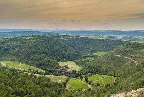 Château Tour Haut-Caussan - 2