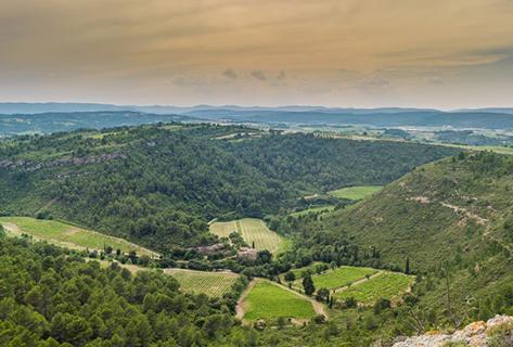Château Tour Haut-Caussan - 2