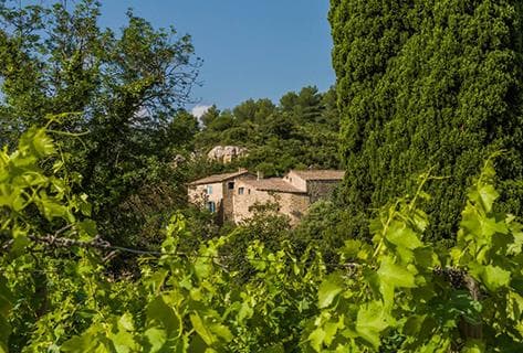 Château Tour Haut-Caussan - 4