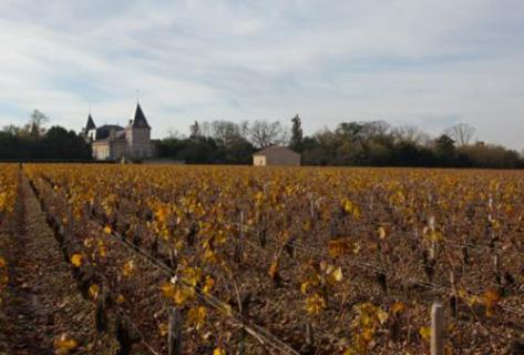 Château Tronquoy Lalande - 3