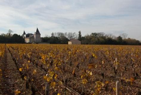 Château Tronquoy Lalande - 3