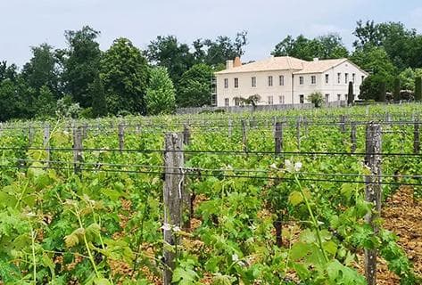 Château Troplong Mondot - 1