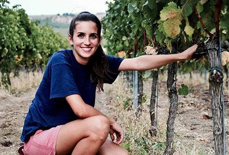 Foto des Partnerweinguts Chiara Condello