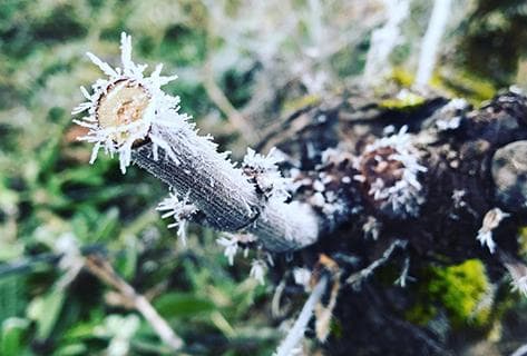 Clarisse De Suremain - 3