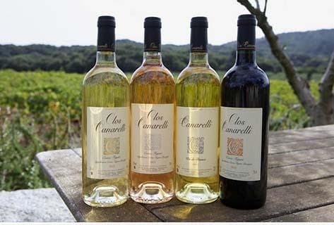 Clos Canarelli - 3