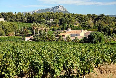 Foto della tenuta - Clos Cibonne