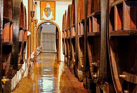 Clos Cibonne - 4