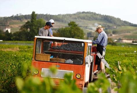 Clos de la Roilette - 2