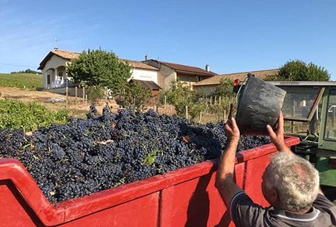 Clos de la Roilette - 3