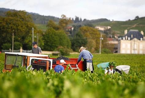 Clos de la Roilette - 4
