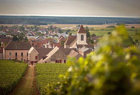 Clos de Tart - 2
