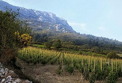Clos des Fées - 4