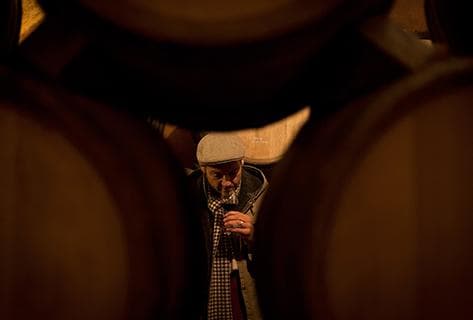 Clos des Vignes du Maynes - 2