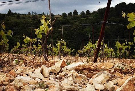 Clos du Gravillas - 3