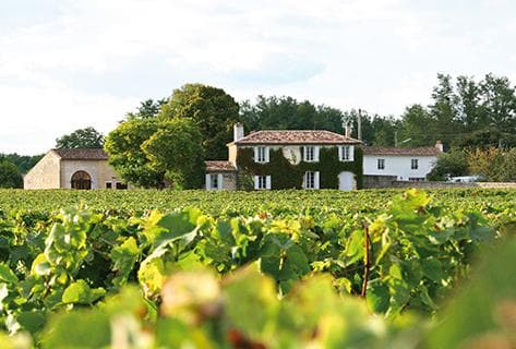Photo du domaine partenaire Clos Floridène
