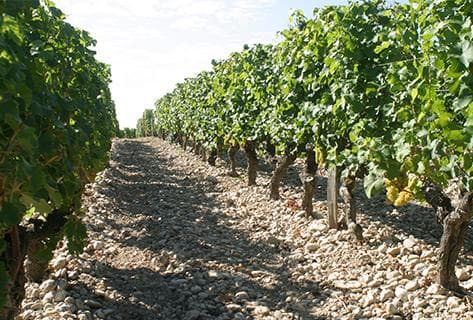 Clos Floridène - 2
