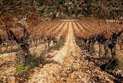 Clos Maia - 3