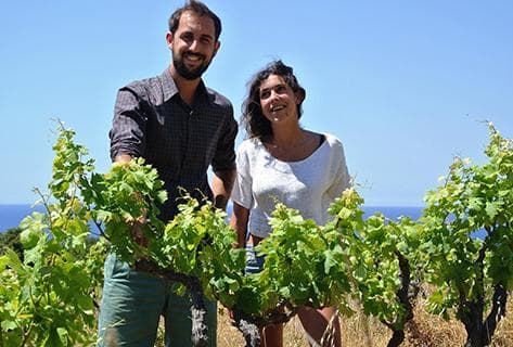 Clos Marfisi - 3