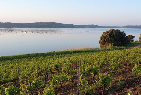 Clos Poggiale - 1