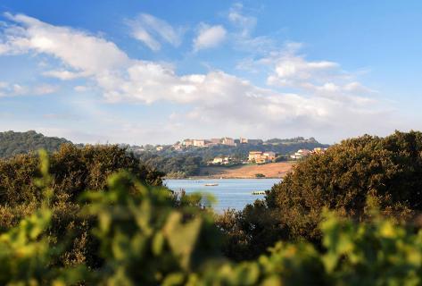 Clos Poggiale - 2