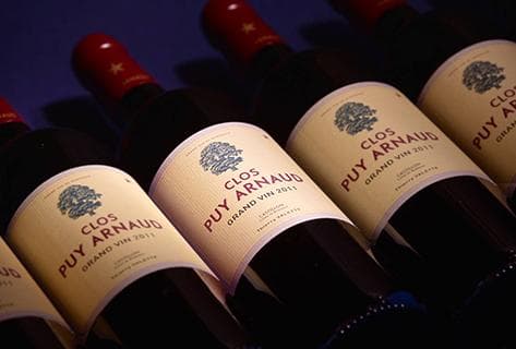 Foto des Partnerweinguts Clos Puy Arnaud