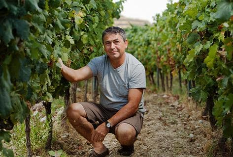 Clos Saint-Vincent - 2