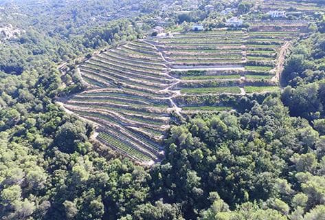 Clos Saint-Vincent - 3